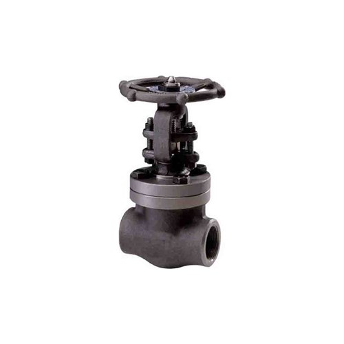 CAST STEEL GATE VALVE - Rising Stem x Class 800, NPT Female