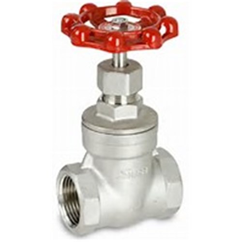 STAINLESS STEEL 316 GATE VALVE - BSP Female, PTFE